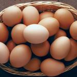 Daily Egg Intake vs. Cholesterol: What the Latest Science Says