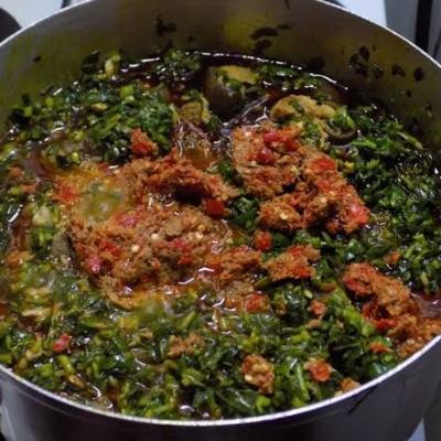 The Bioactive Power of Ugu (Fluted Pumpkin Leaves): Why It’s Nigeria’s Ultimate Iron & Folate Booster
