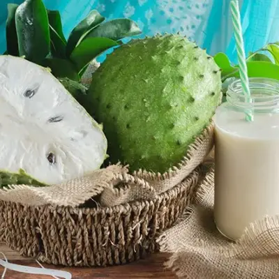 Soursop Smoothies: Why This Tropical Superfruit Deserves a Place in Your Daily Routine